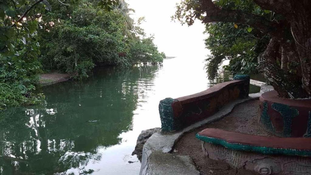 Nature Green Forest Resort Baler Buitenkant foto