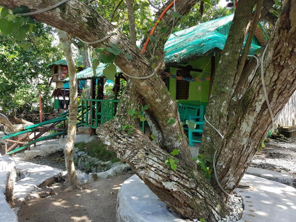 Nature Green Forest Resort Baler Buitenkant foto